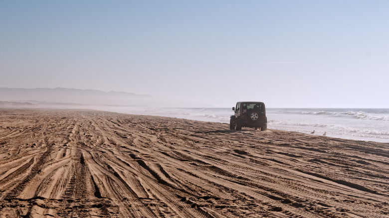 Car driving on beach at Oceano Dunes State Vehicular Recreation Area