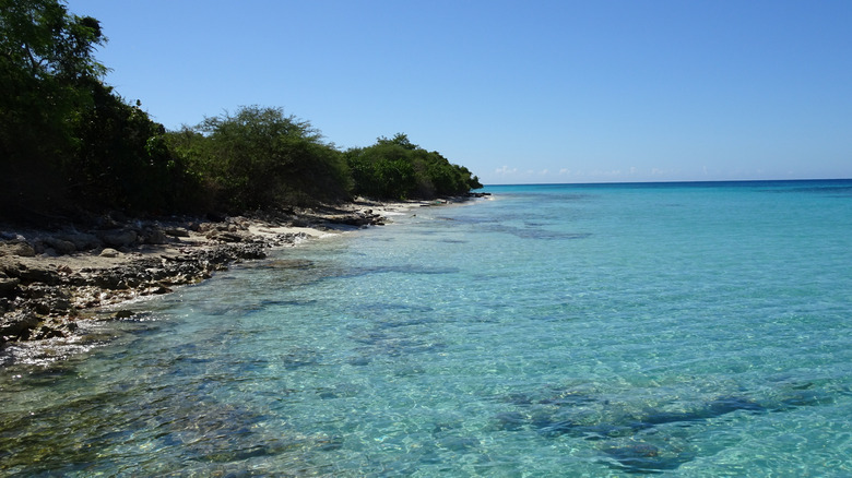 Clear water and a rocky beach backed by green scrub plants