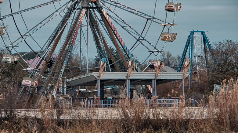 Ferris wheel overgrown and abandoned at Jazzland amusement park.