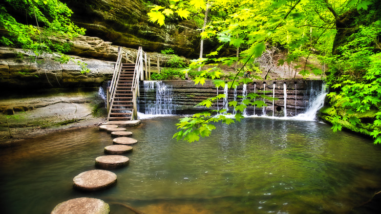 stepping stones in pond with waterfall and trees