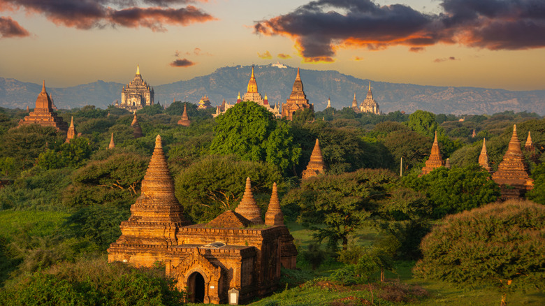 Multiple temples and pagodas surrounded by jungle in Bagan.